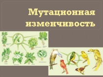 Презентация по биологии на темуМутационная изменчивость(9 класс)