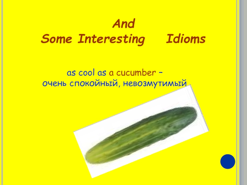 And Some Interesting  Idioms as cool as a cucumber – очень спокойный, невозмутимый