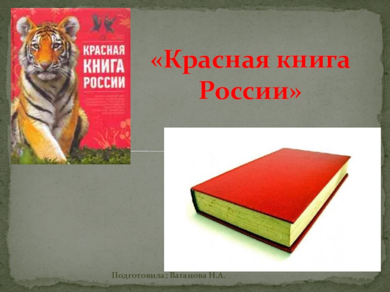 Презентация Красная книга Хабаровского края