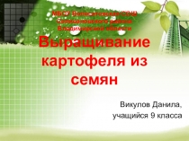 Презентация по биологии на тему Картофель