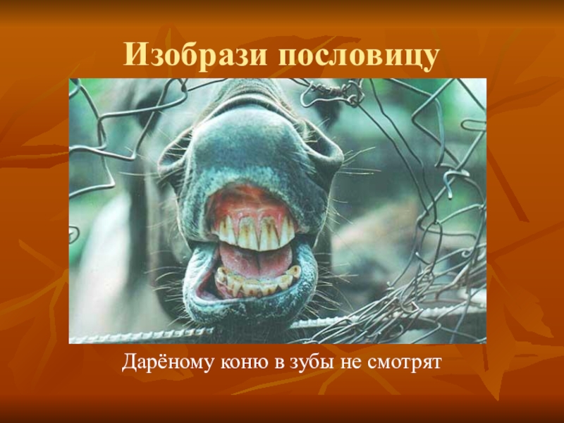 Пословица дареному коню в зубы не смотрят. Пословица дареному коню в зубы. Дарёному коню в зубы не смотрят. Зуб дареного коня.