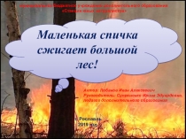 Презентация Берегите лес от пожара