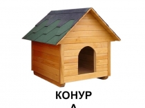 Презентация к уроку русского языка Словарные слова