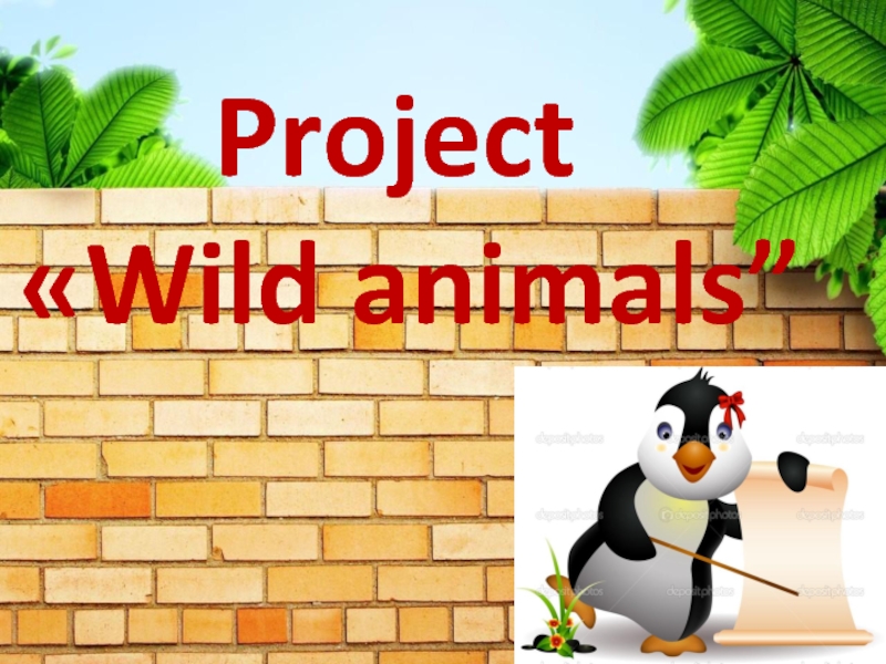 Project«Wild animals”