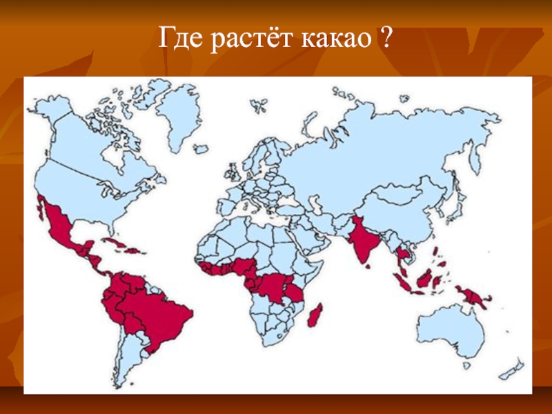 Карта расти. Где растут какао Бобы карта. Ареал какао. Где растет какао карта.