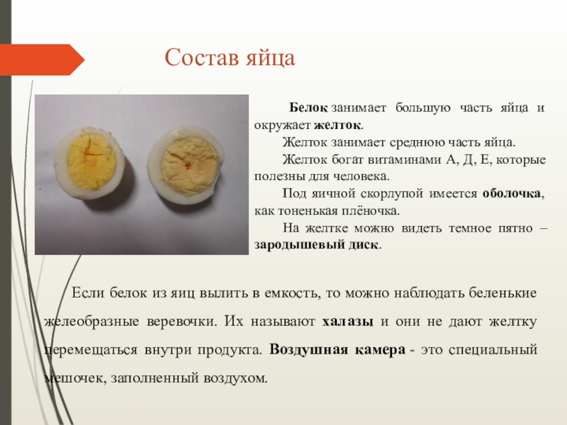 Функции оболочек яйца. Состав белковой части яйца. Состав яйца белок и желток. Белок в яйце функция. Белковая оболочка яйца.