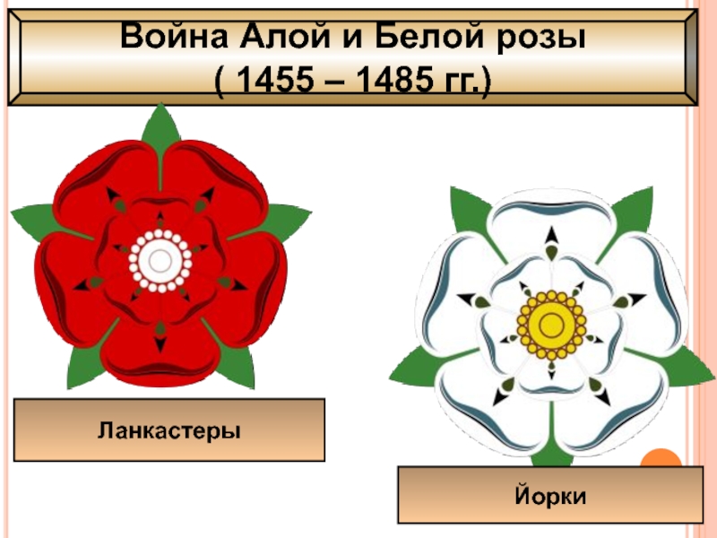 Война алой и белой розы картинки впр