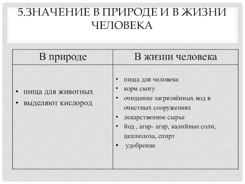 Какое значение человека в природе