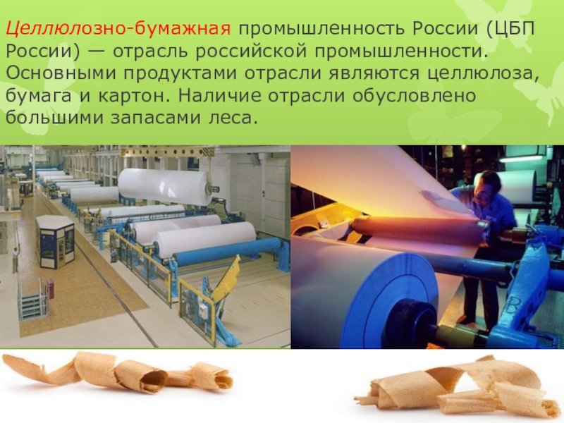 Производители картона и бумаги в россии. Целлюлозно-бумажный комбинат технология. Целлюлозно-бумажная промышленность. Целлюзнобумажная промышленность. Целлюлозно бумажная отрасль в России.