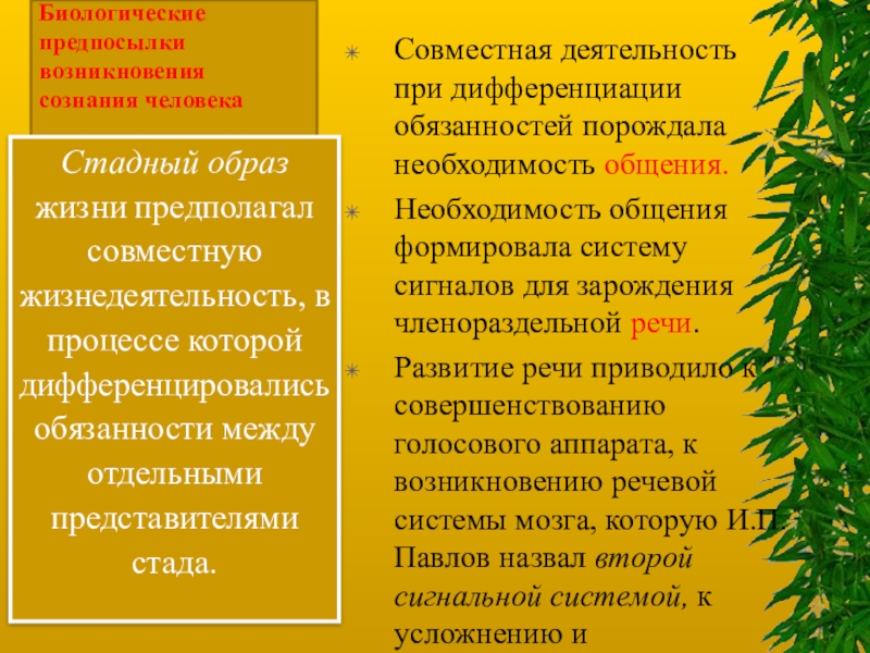 Условия возникновения сознания человека. Биологические предпосылки возникновения сознания. Биологические предпосылки возникновения сознания человека. Социальные предпосылки возникновения сознания. Предпосылки и условия возникновения сознания.