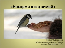 Презентация к социальному проекту Накорми птиц