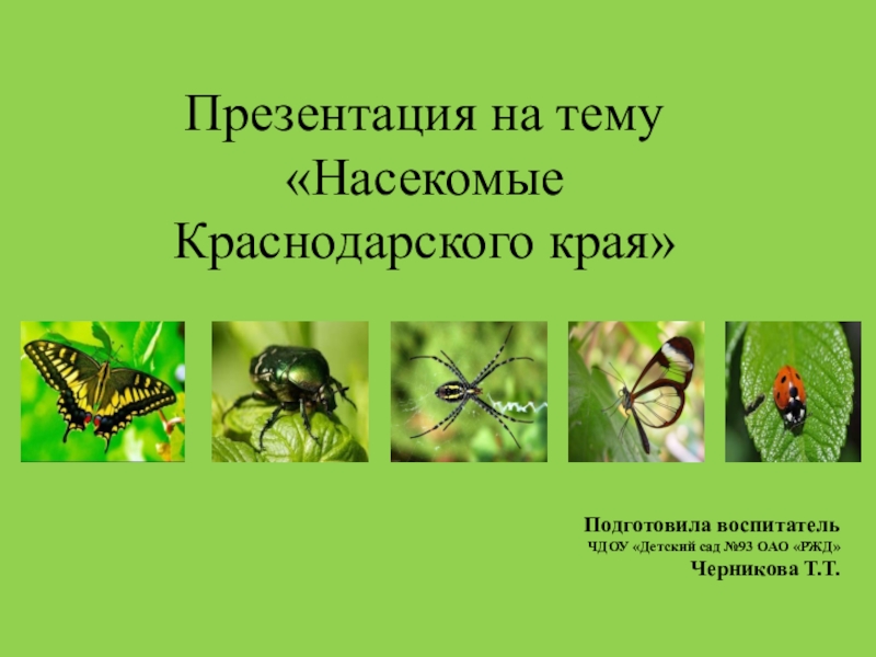 Презентация на тему насекомые ростовской области