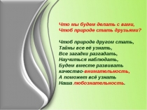 Берегите лес