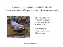 Проект по биологии Сохраним балтийского тюленя!