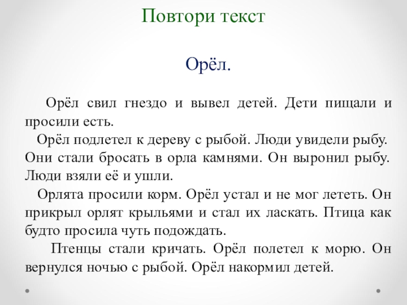 Орел свил гнездо и вывел детей