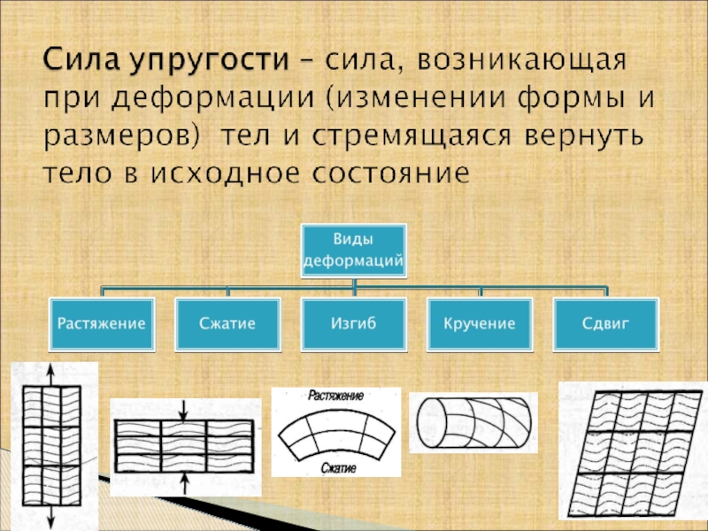 Сила упругости природа силы. Сила упругости в механике. Силы в механике. Силы в механике сила упругости. Основные силы в механике.