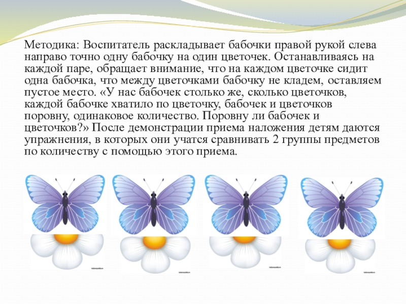 Методика: Воспитатель раскладывает бабочки правой рукой слева направо точно одну бабочку на один цветочек. Останавливаясь на каждой