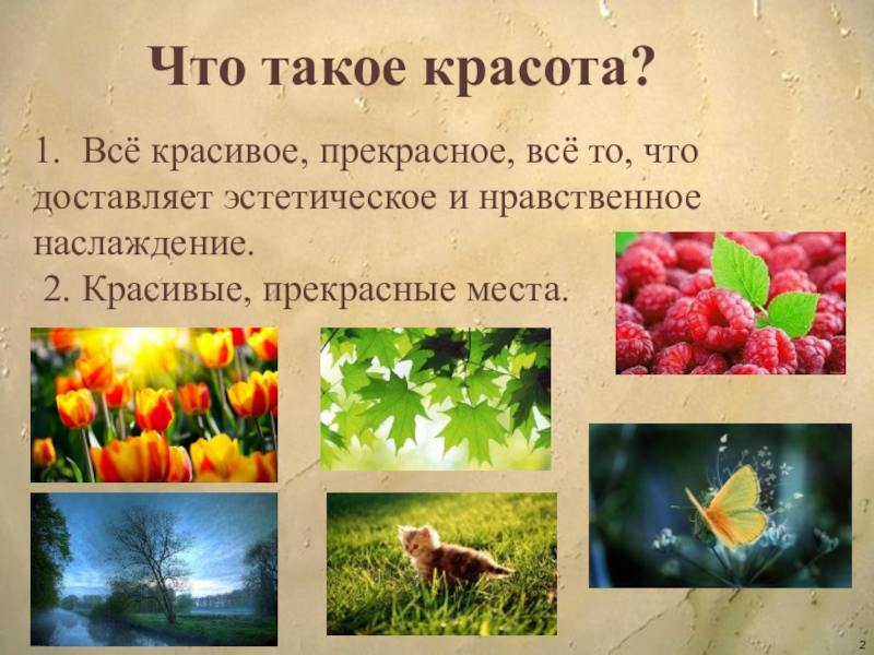 Определить красоту. Презентация красота. Красота это определение. Красота это определение кратко. Красота это кратко.