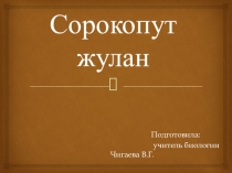 Презентация по биологии на тему Птицы