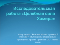 Презентация к проектной работе Целебная сила Хамира о свойствах воды реки Хамир
