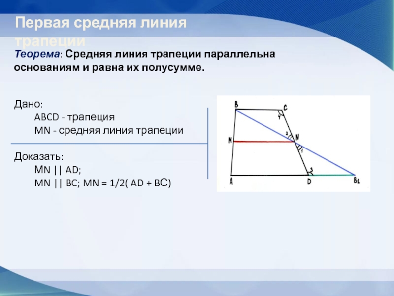 Основание любой трапеции параллельно