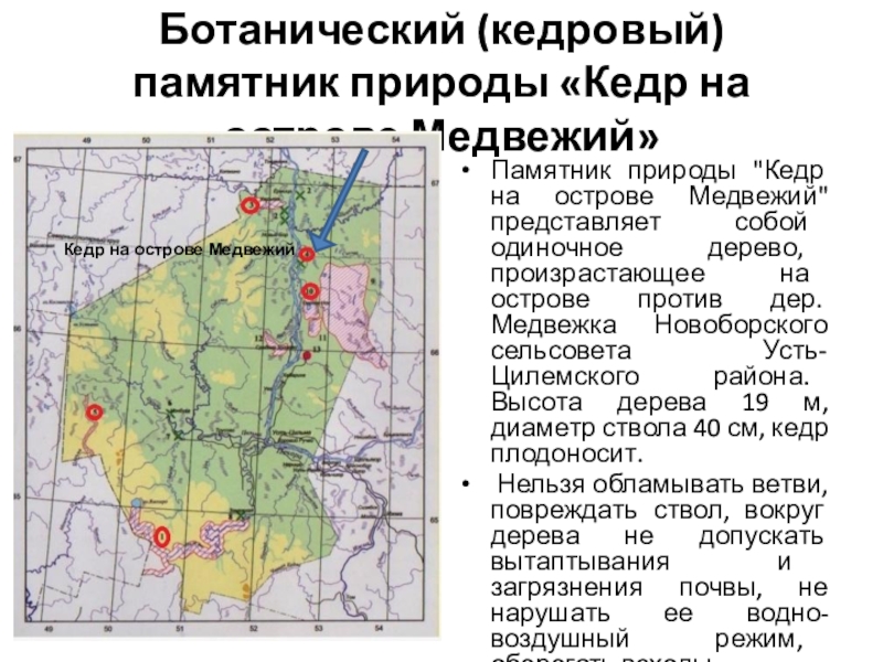 Презентация особо охраняемые природные территории республики коми