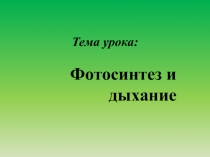 Презентация по биологии на тему : Фотосинтез и дыхание 6 класс