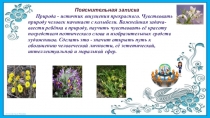 Презентация интегрированного урока(литературное чтение,изо,окружающий мир) Весенние первоцветы (2-3 класс)