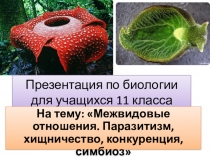Презентация для учащихся 11 класса по биологии на тему: Межвидовые отношения