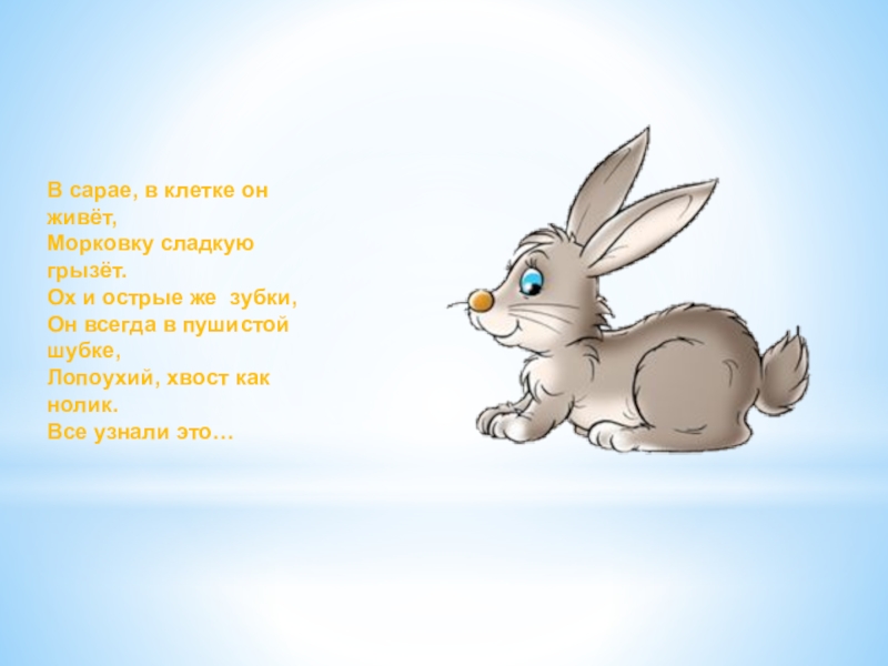 Детские загадки про животных для 1 класса. Презентация загадки о животных. Загадки и ребусы про животных. Загадки о животных. Презентация загадки о животных.