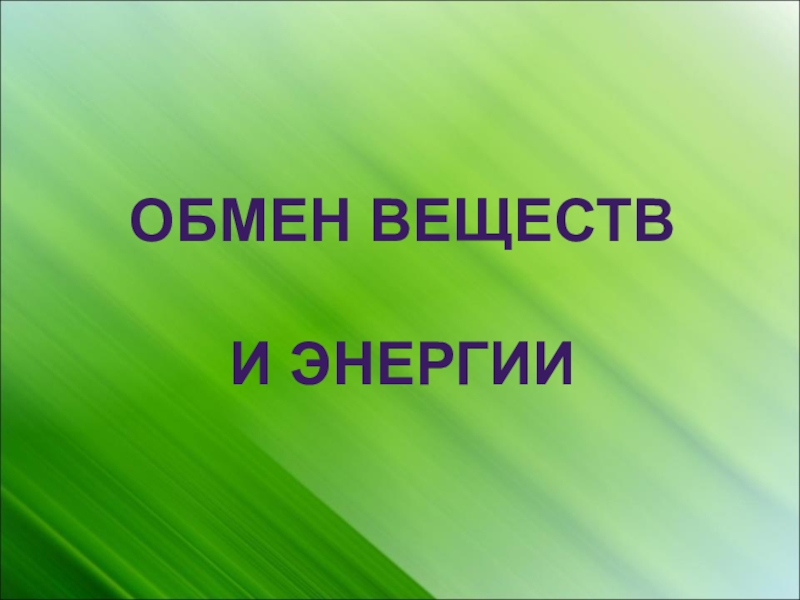 Последний урок биологии в 11 классе презентация