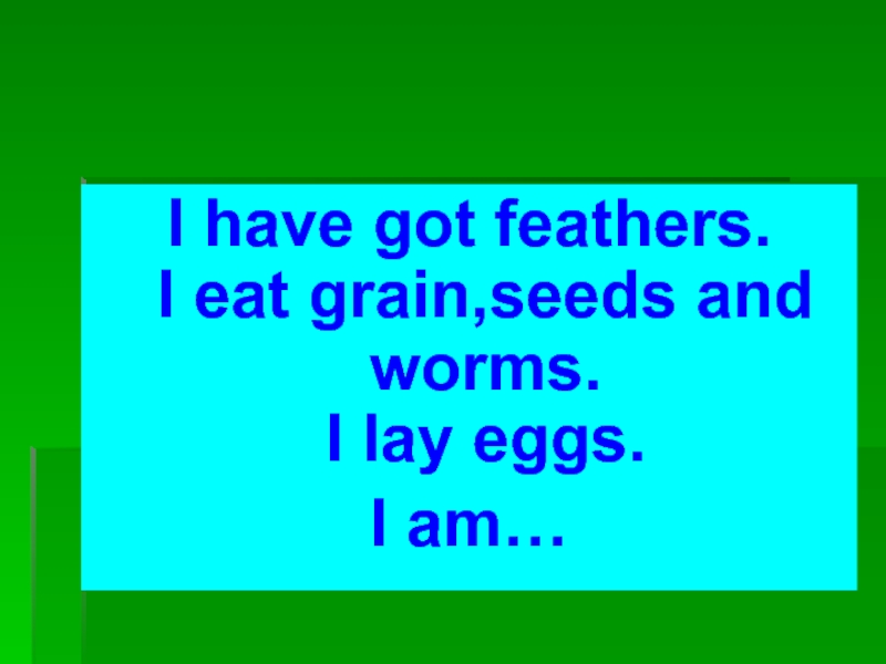 I have got feathers. I eat grain,seeds and worms. I lay eggs. I am…