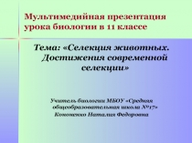 Презентация по биологии на тему Селекция животных. Достижения современной селекции. (11 класс)