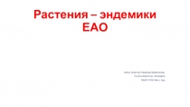 Презентация по географии ЕАО на тему Растения - эндемики