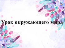 Презентация к уроку окраужающего мира на тему Субтропическая зона