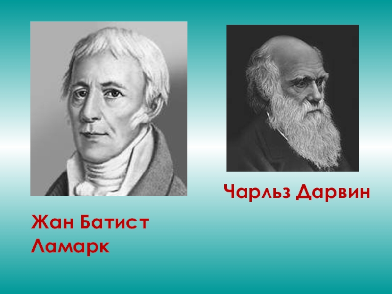 Биосфера ламарк. Ламарк и Дарвин. Батист Ламарк и Дарвин.