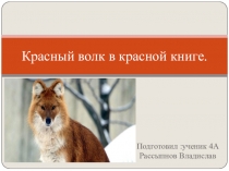Презентация по окружающему миру на тему Международная Красная книга(4 класс)