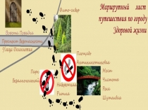 Презентация к уроку Береги здоровье смолоду