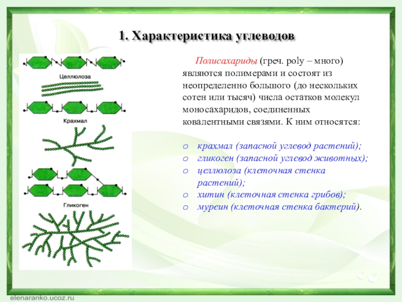 Полисахариды (греч. poly – много) являются полимерами и состоят из неопределенно большого (до нескольких