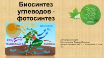 Презентация к уроку Биосинтез углеводов - фотосинтез 9 класс