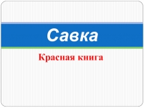 Презентация по биологии на тему Савка
