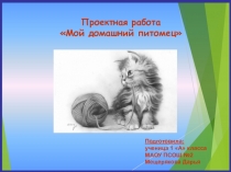 Презентация проекта Мой домашний питомец