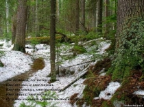 Звуки весны в музыке