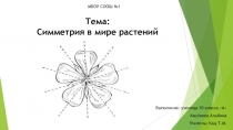 Презентация к проекту: Симметрия в пространстве