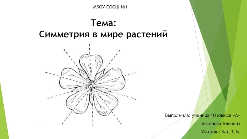 Презентация Презентация к проекту: Симметрия в пространстве
