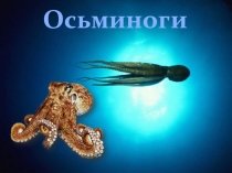 Презентация по биологии на тему Осьминоги