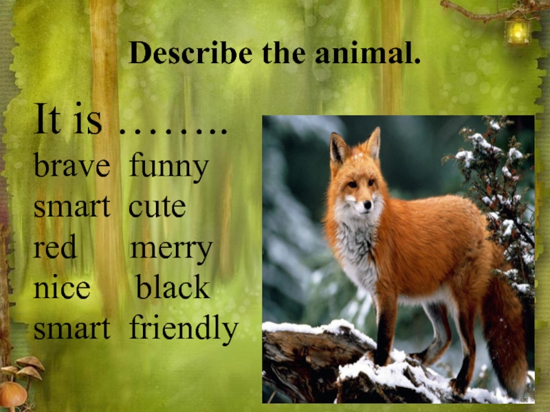 Do they like animals. Describe animals. Describe the animal for. Describe the animals from the story. Can you describe these animals про медведя.