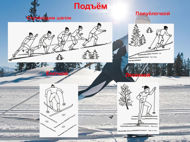 Рассмотри внимательно рисунки вспомни как называются эти техники спуска с горы на лыжах