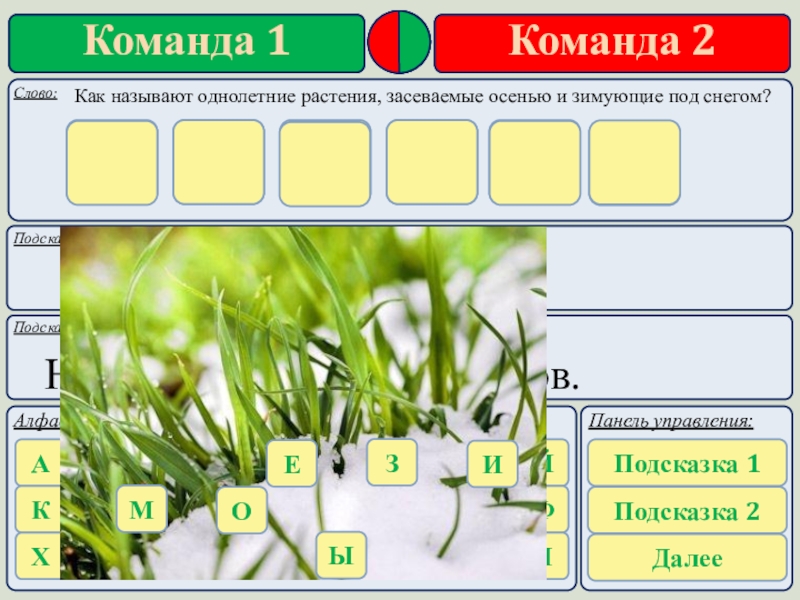 Узнай растение по картинке. Приложение как называются растения. Приложение определяет растения. Приложение для определения растений. Распознать цветок по фото приложение.