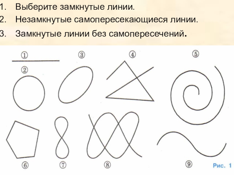 Презентация математика 5 класс дорофеев